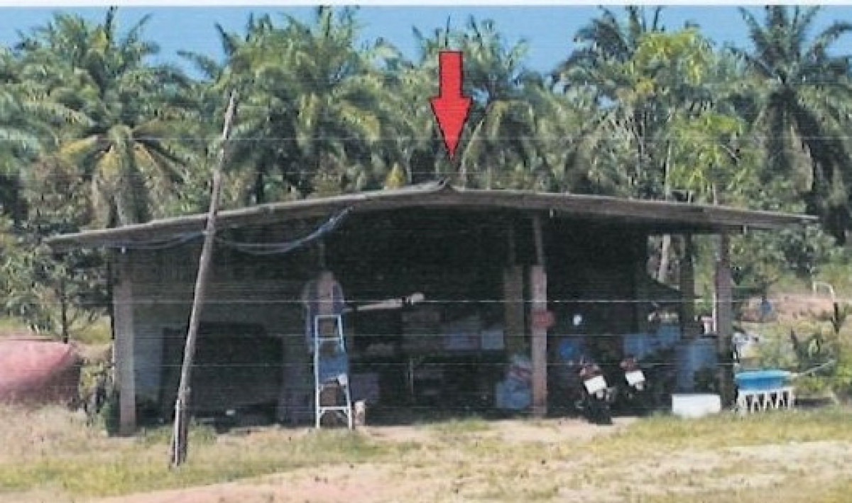 บ้านเดี่ยว สุราษฎร์ธานี บ้านนาสาร ทุ่งเตาใหม่ 2251200