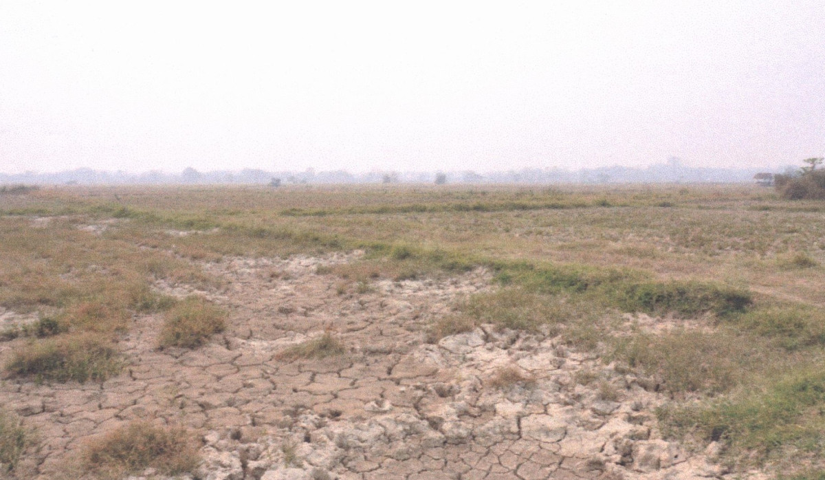 ที่ดินเปล่า แพร่ เมืองแพร่ ทุ่งกวาว 69300