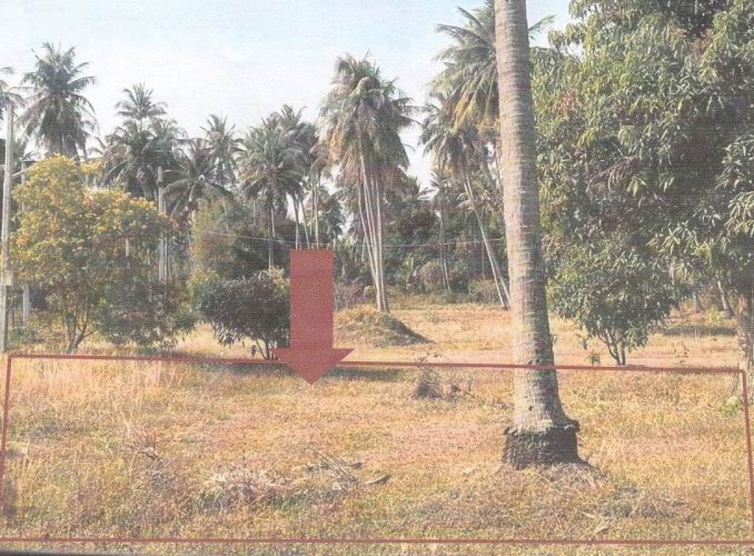 Residential land/lot Prachuap Khiri Khan Thap Sakae Huai Yang 38000