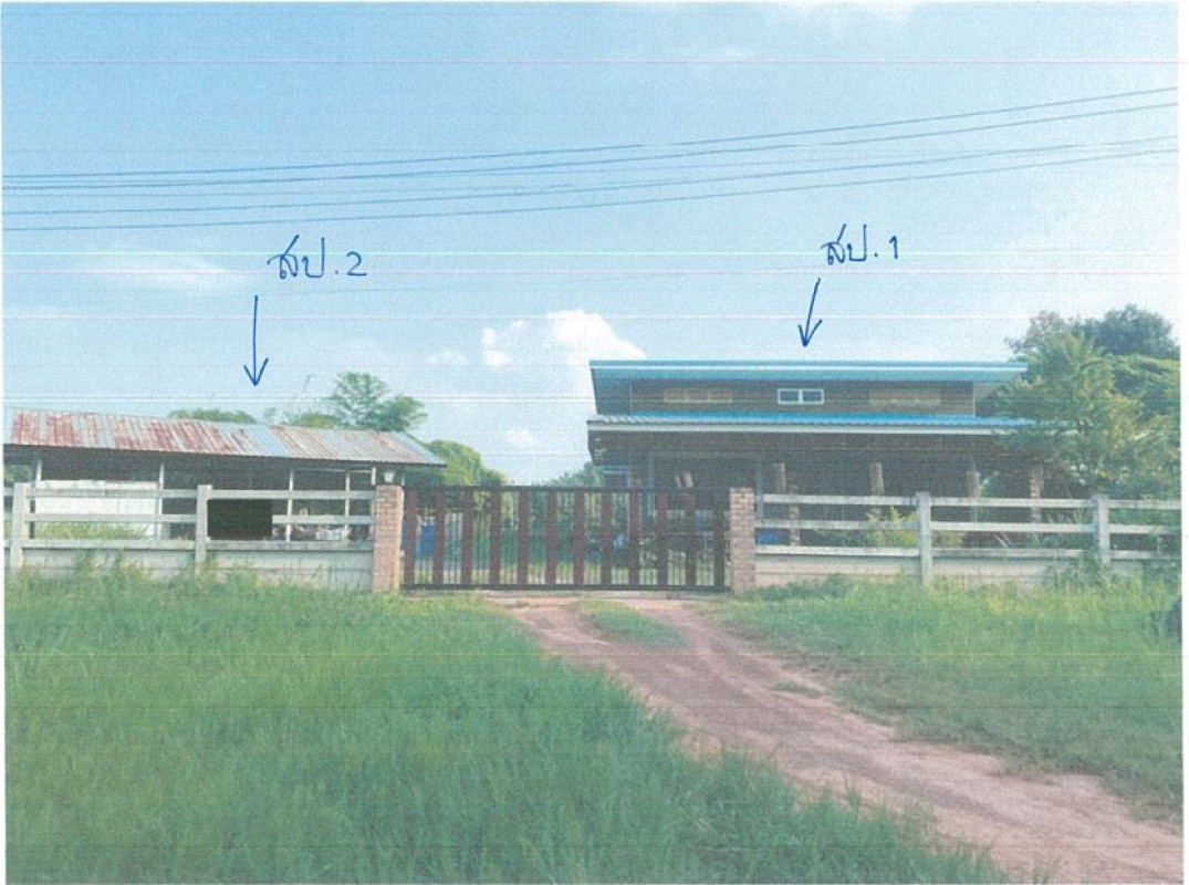 บ้านเดี่ยว อุดรธานี ศรีธาตุ ศรีธาตุ 830090