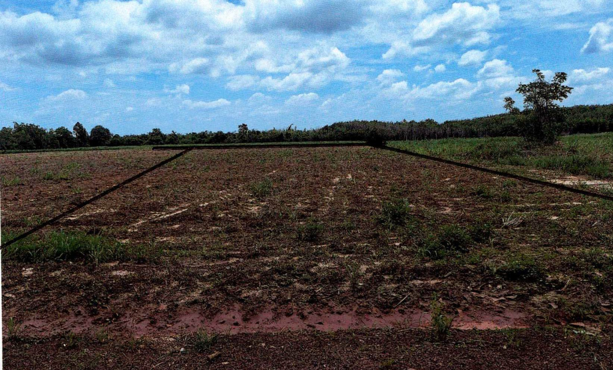 Residential land/lot Nong Khai Sakhrai Sa Khrai 280000