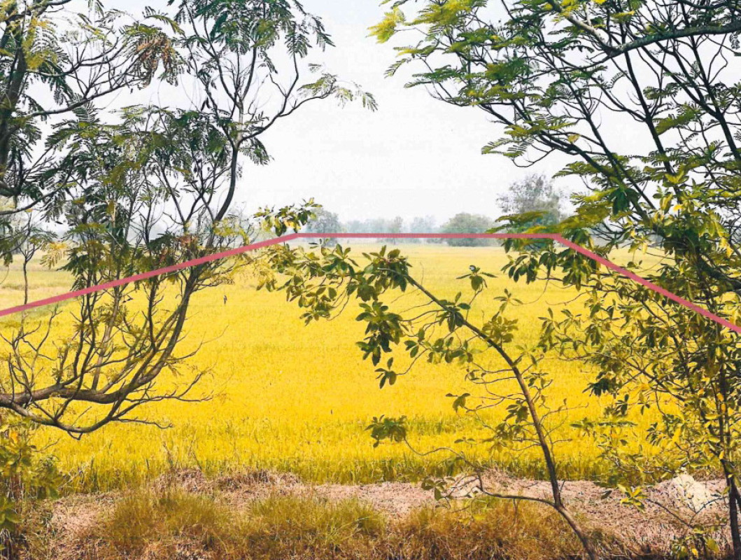 Residential land/lot Sukhothai Mueang Sukhothai Ban Kluai 4661085