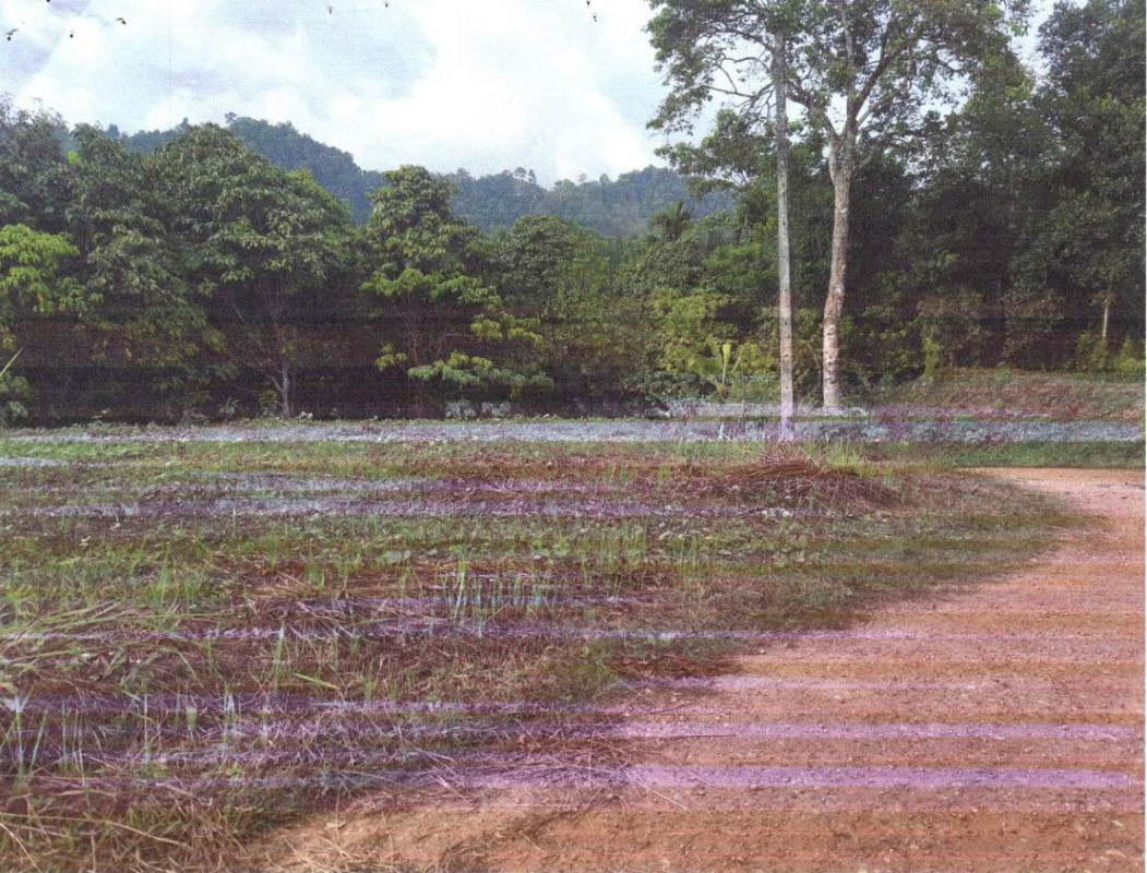 ที่ดินเปล่า พังงา ตะกั่วป่า โคกเคียน 86040