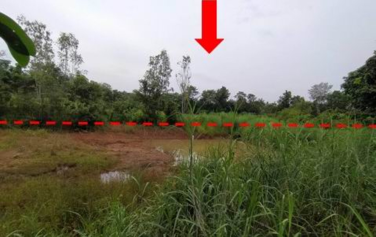 ที่ดินเปล่า สกลนคร บ้านม่วง ม่วง 183000