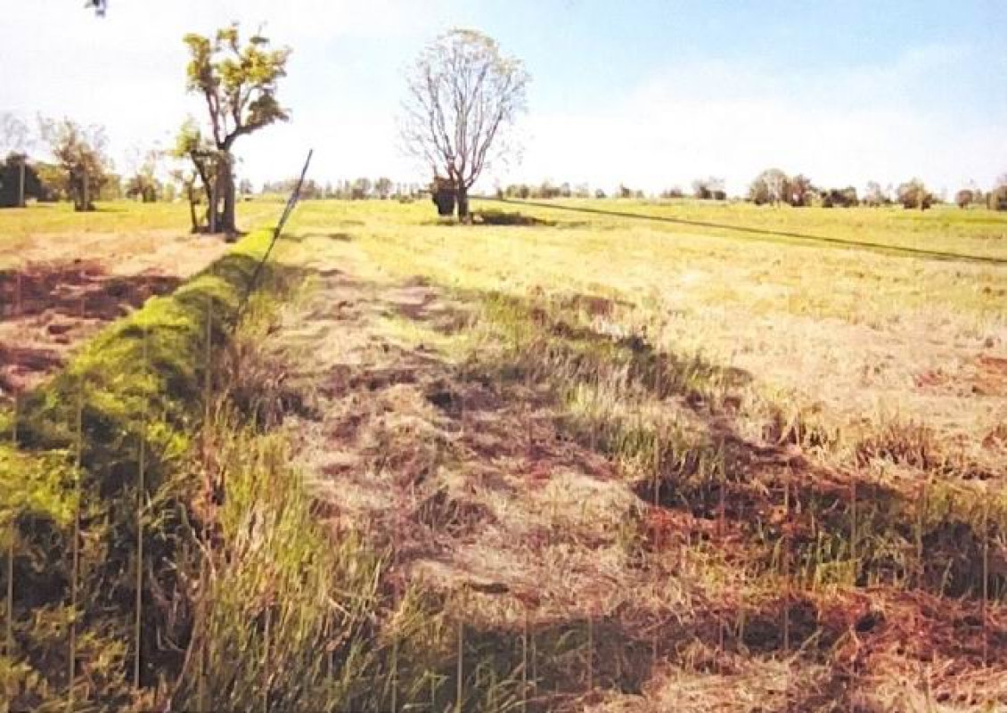Residential land/lot Buri Ram Ban Dan Prasat 720000
