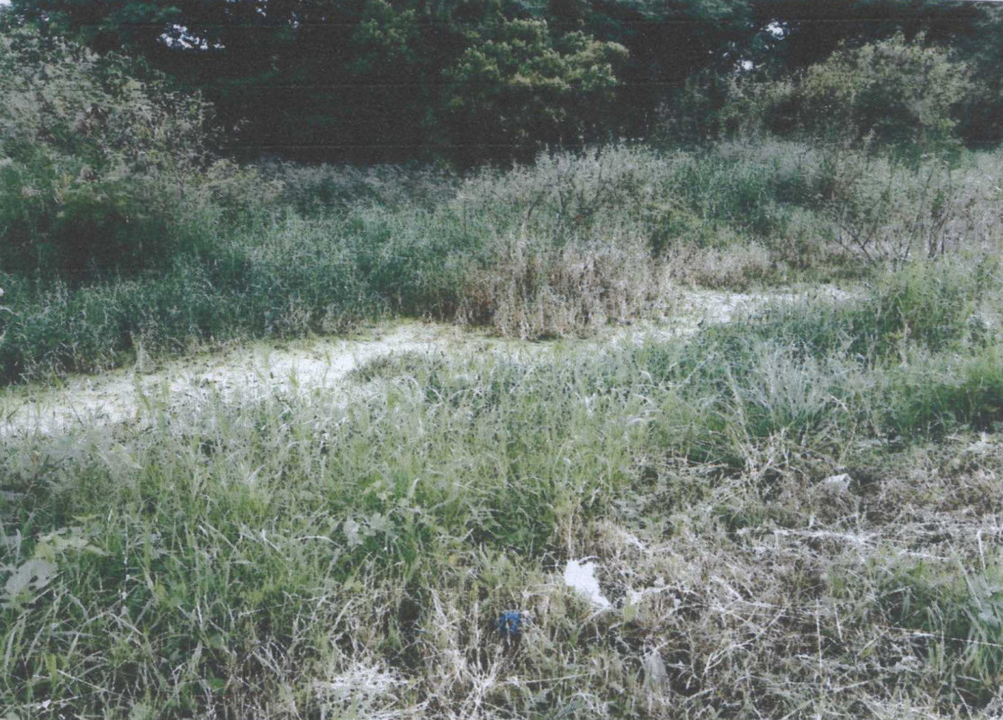 Residential land/lot Maha Sarakham Kantharawichai Kham Riang 505000