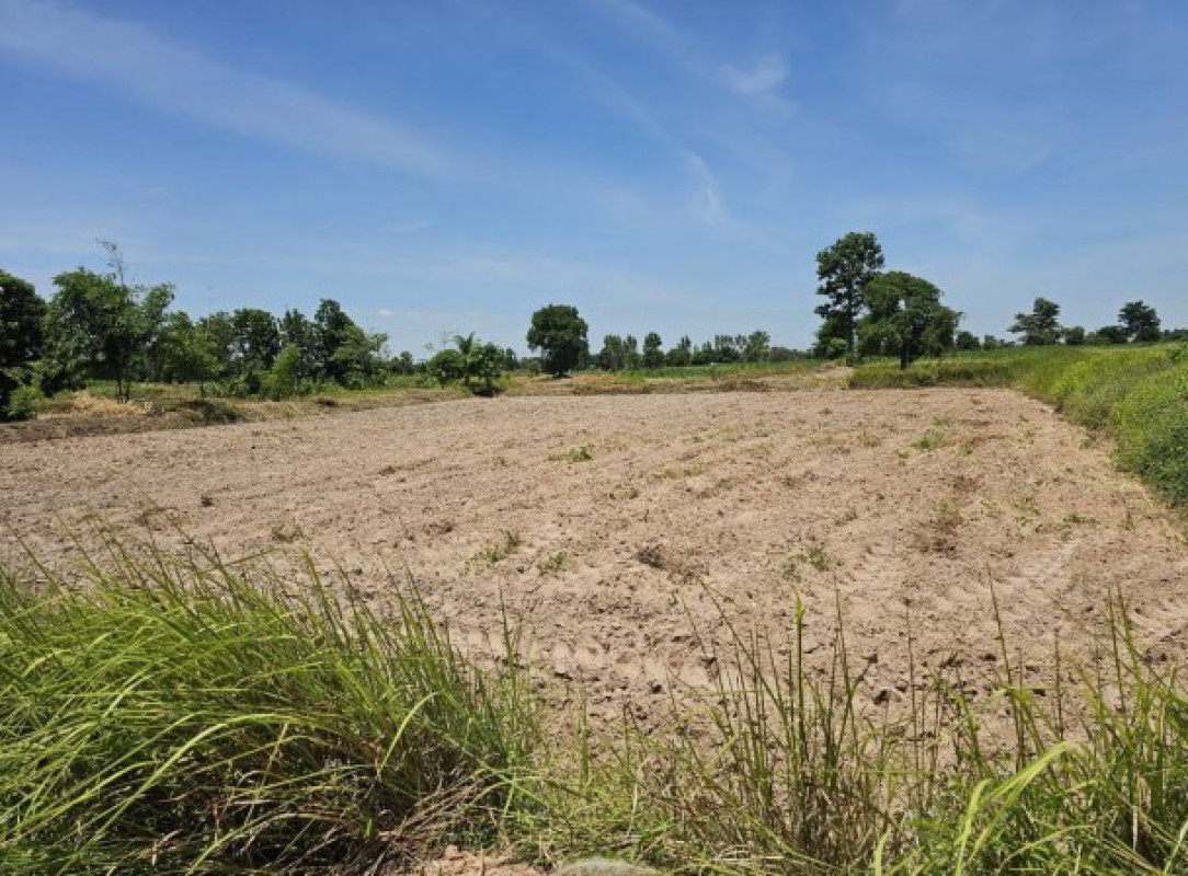 Residential land/lot Maha Sarakham Kut Rang Nong Waeng 228885