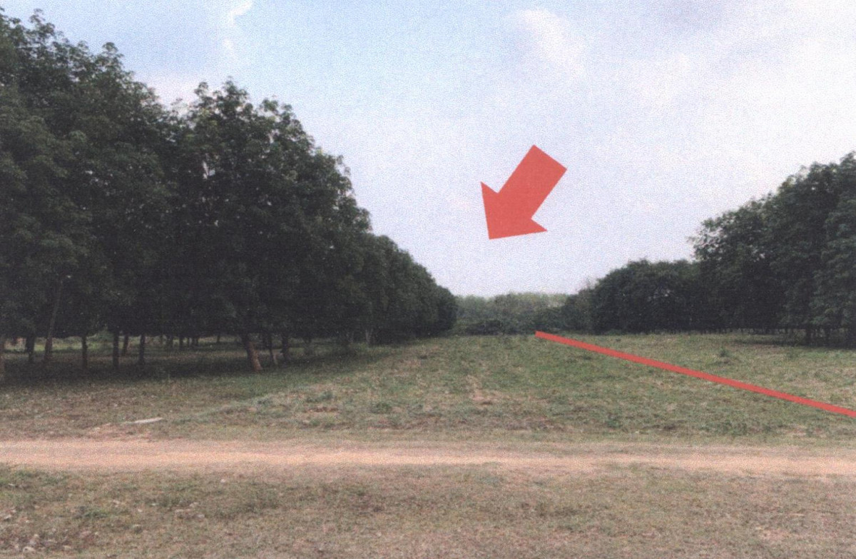 ที่ดินเปล่า แพร่ เมืองแพร่ วังหงษ์ 270875
