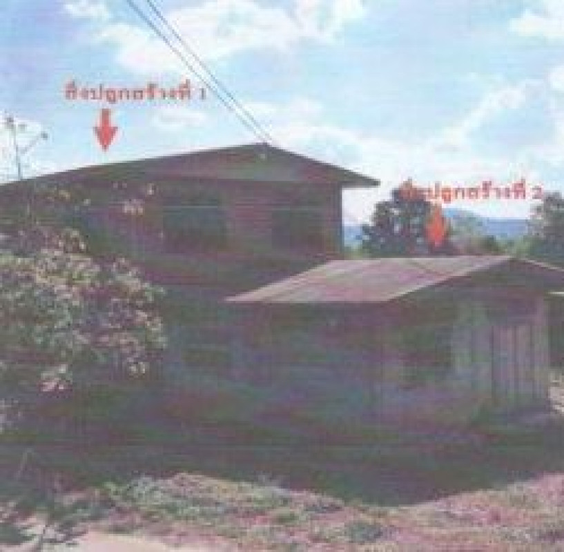 บ้านเดี่ยว เลย นาด้วง นาด้วง 290038