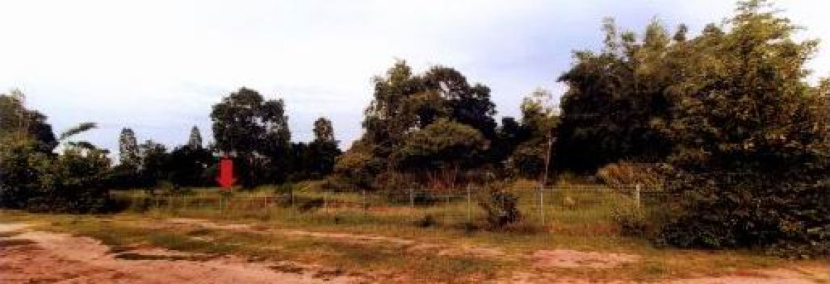 ที่ดินเปล่า ขอนแก่น บ้านไผ่ ในเมือง 268788