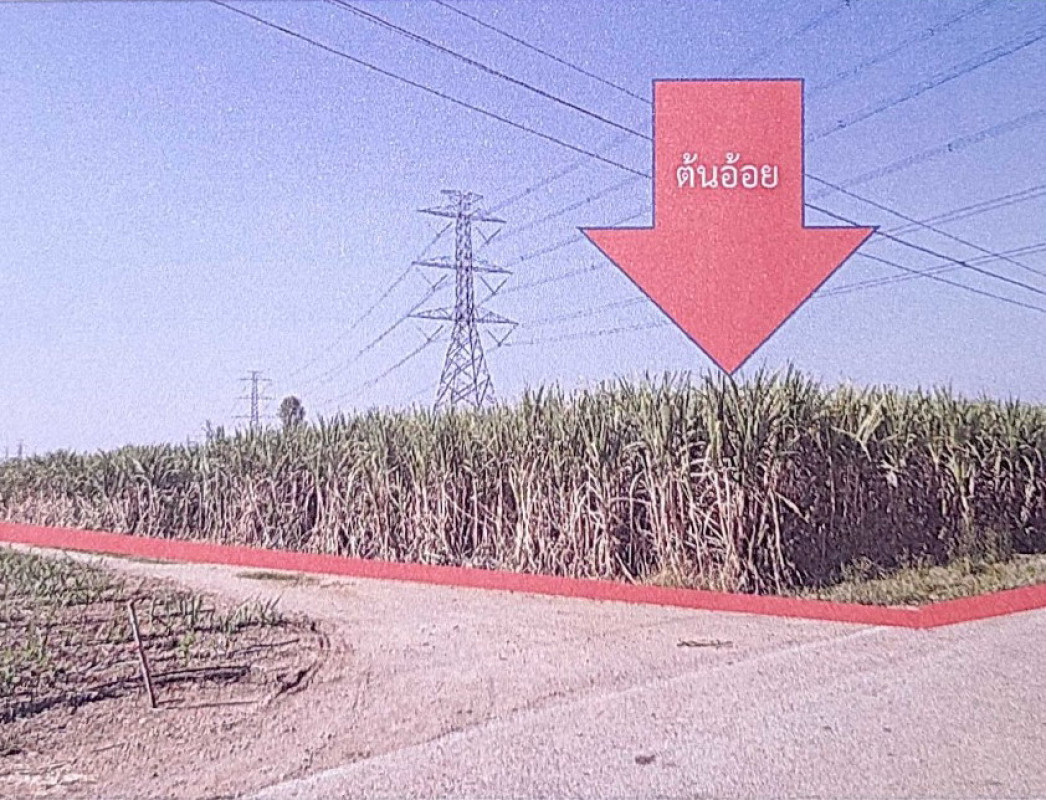 ที่ดินเปล่า ราชบุรี จอมบึง ปากช่อง 914800