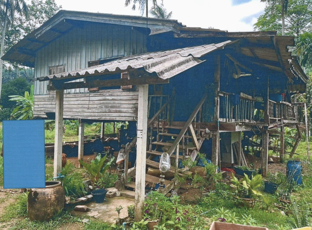บ้านเดี่ยว ชุมพร พะโต๊ะ พะโต๊ะ 300480