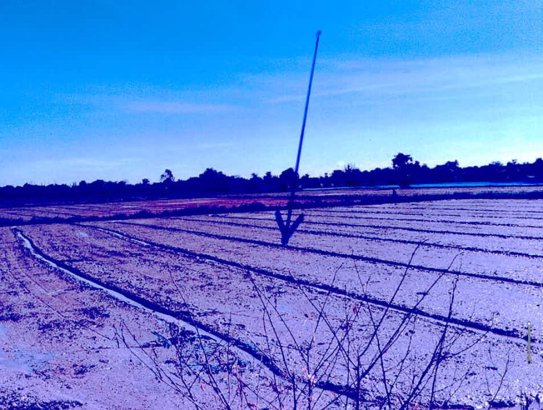 Residential land/lot Kamphaeng Phet Khanu Woralaksaburi Salok Bat 1973675
