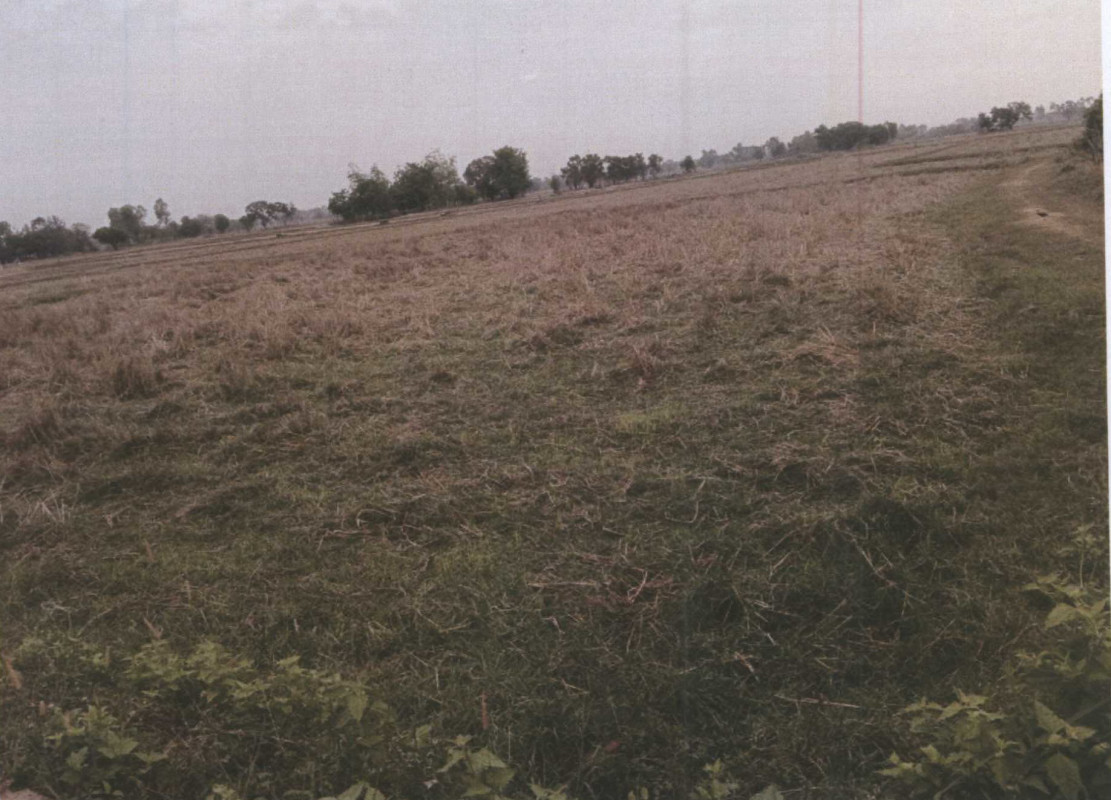 Residential land/lot Maha Sarakham Kosum Phisai Khewa Rai 30000