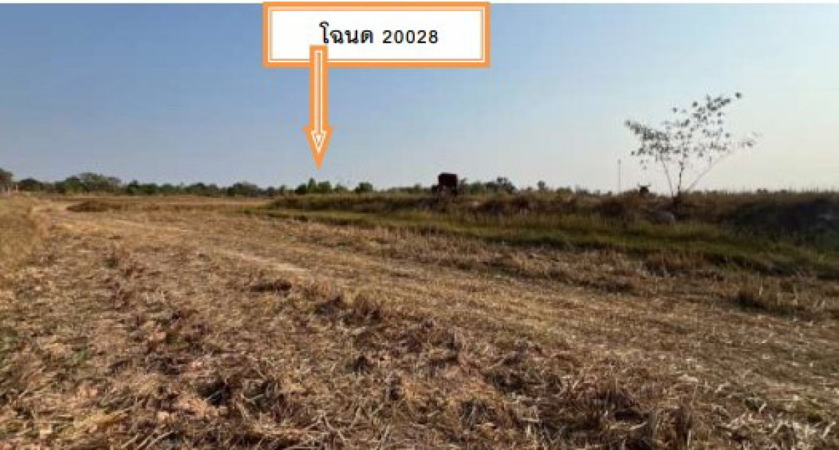 ที่ดินเปล่า มหาสารคาม เชียงยืน ดอนเงิน 747000