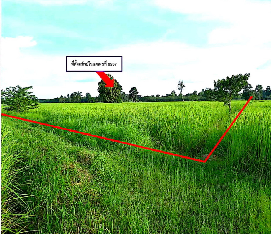 ที่ดินเปล่า ศรีสะเกษ ขุนหาญ กันทรอม 329100