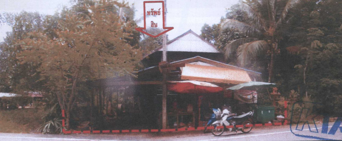 บ้านเดี่ยว สุราษฎร์ธานี คีรีรัฐนิคม ย่านยาว 598500
