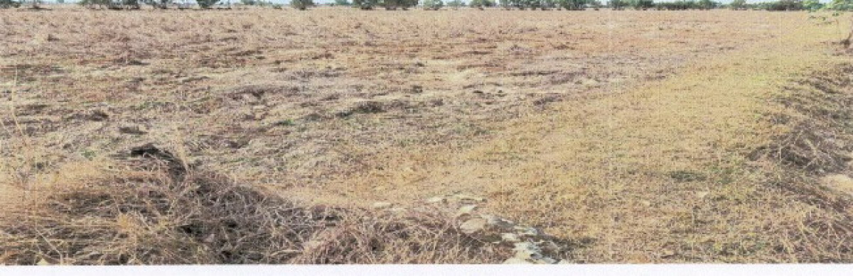 Residential land/lot Buri Ram Satuek Tha Muang 735216