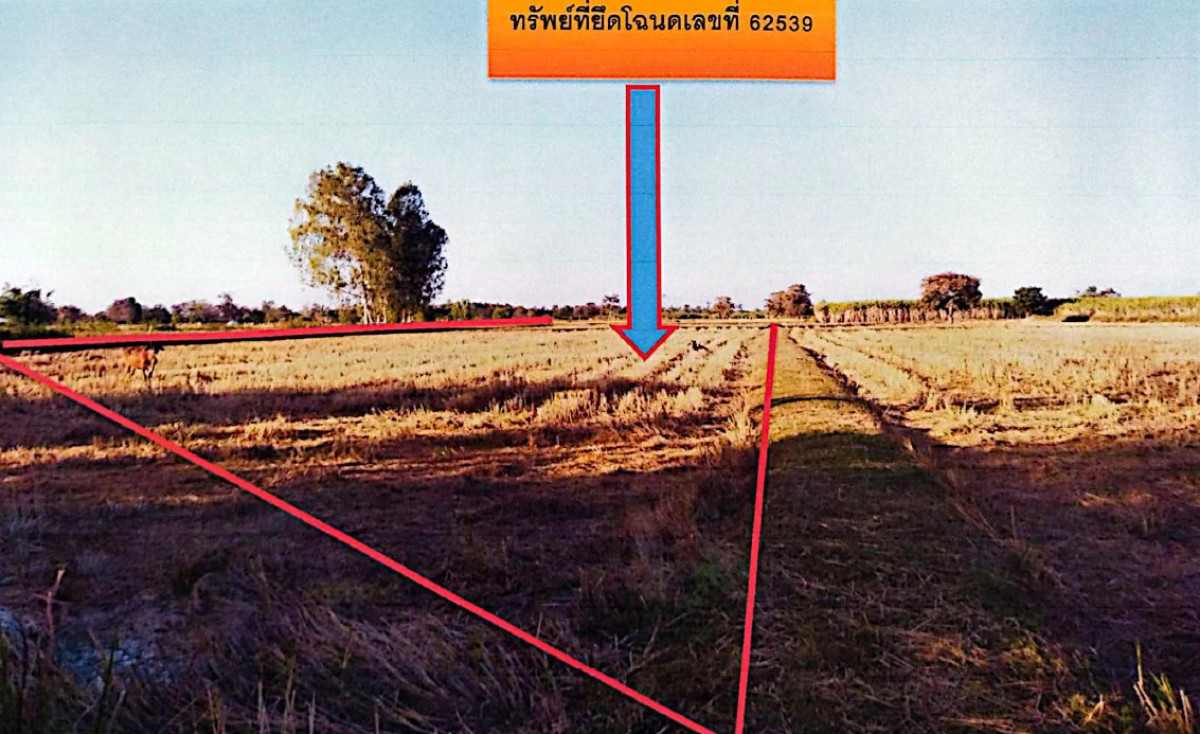 ที่ดินเปล่า บุรีรัมย์ ลำปลายมาศ ทะเมนชัย 225276