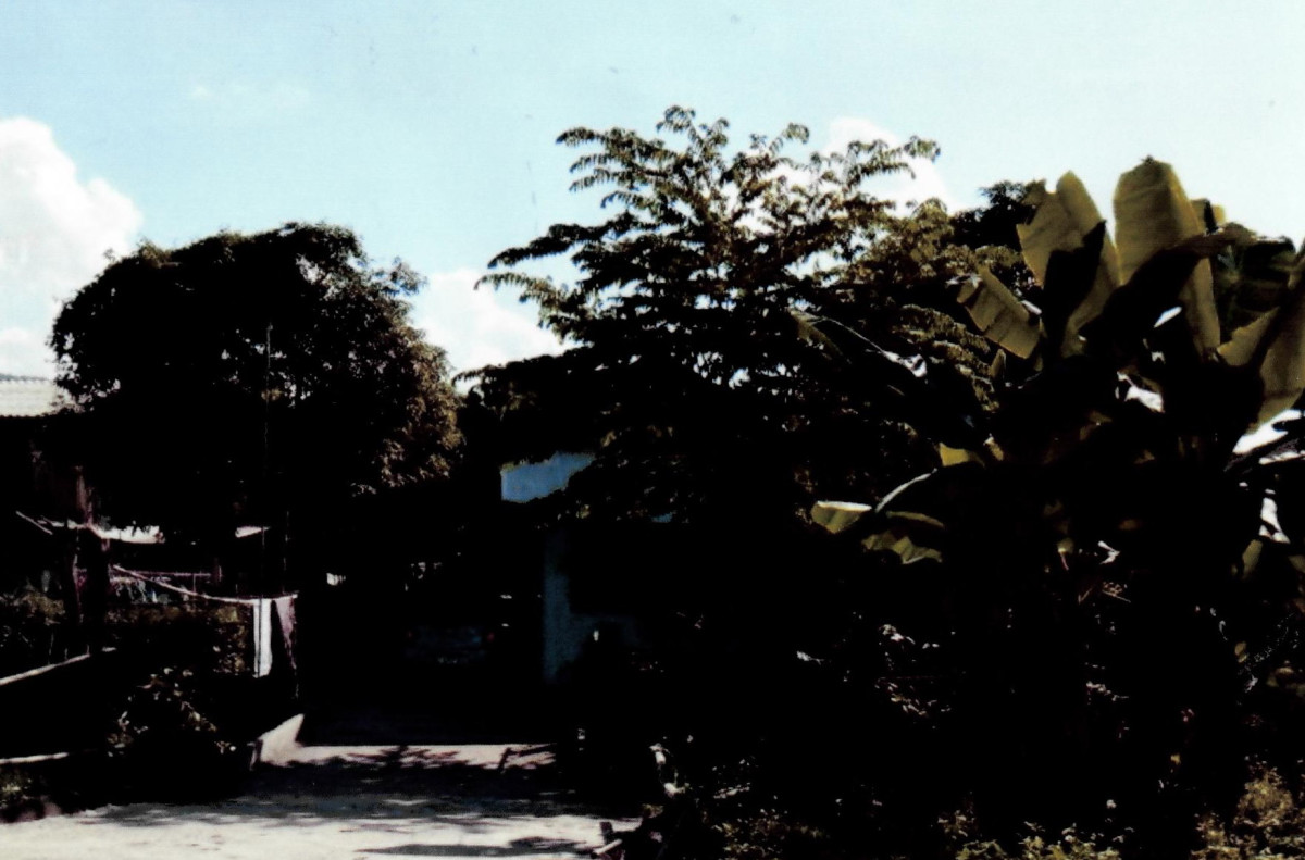 Single house Chiang Rai Chiang Khong Khrueng 370875