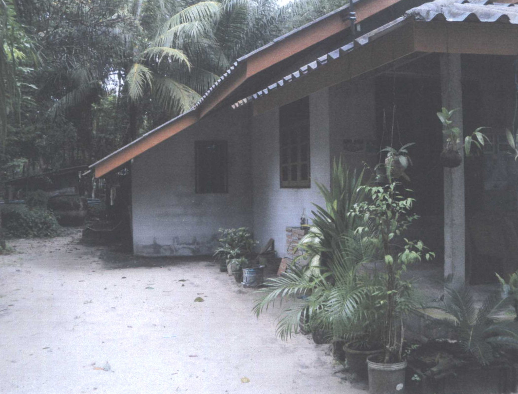 บ้านเดี่ยว นครศรีธรรมราช ร่อนพิบูลย์ ควนพัง 964960
