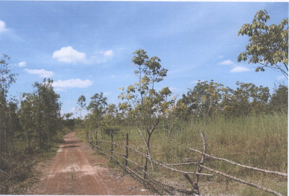 ที่ดินเปล่า สกลนคร บ้านม่วง ดงเหนือ 295300