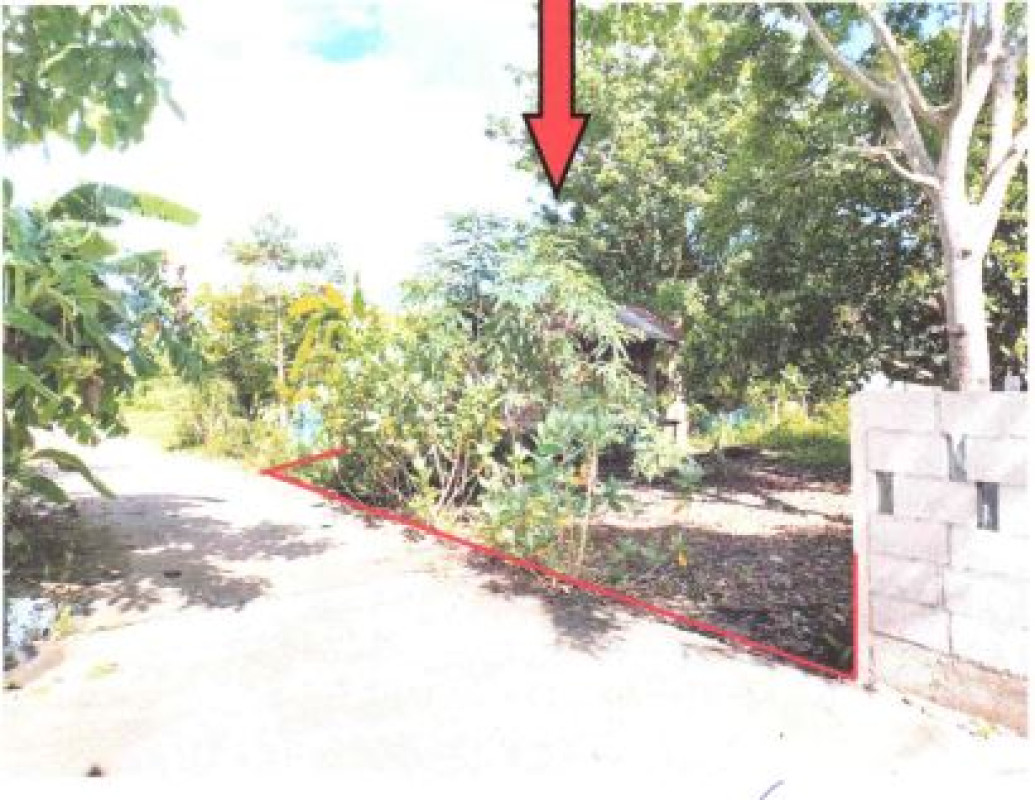 Single house Udon Thani Nong Han Phon Ngam 116570