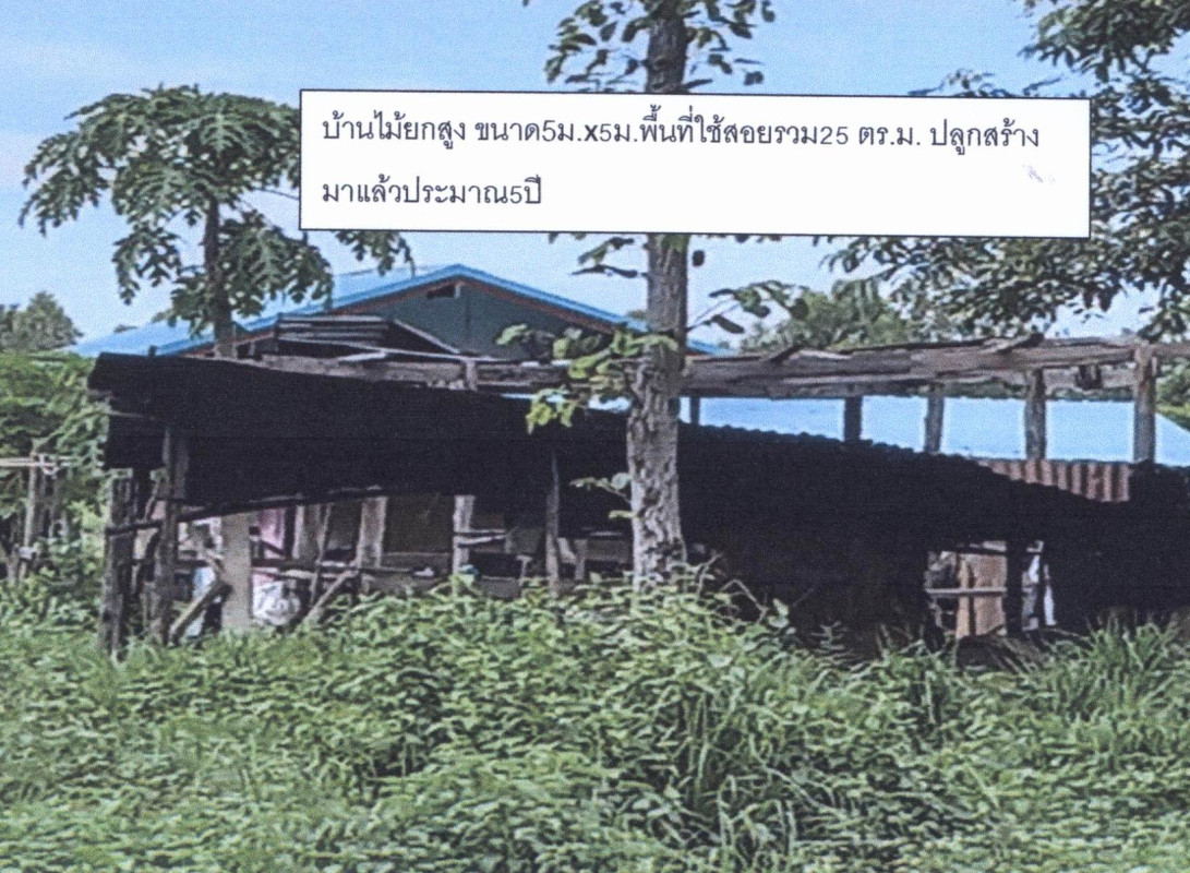 บ้านเดี่ยว อุดรธานี กุมภวาปี พันดอน 1328650