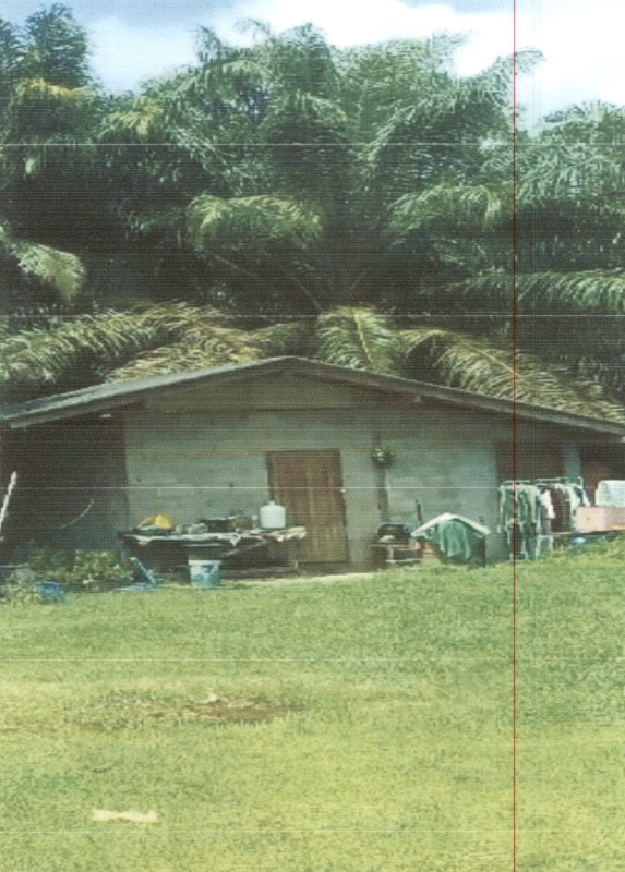 บ้านเดี่ยว สุราษฎร์ธานี พุนพิน น้ำรอบ 829433
