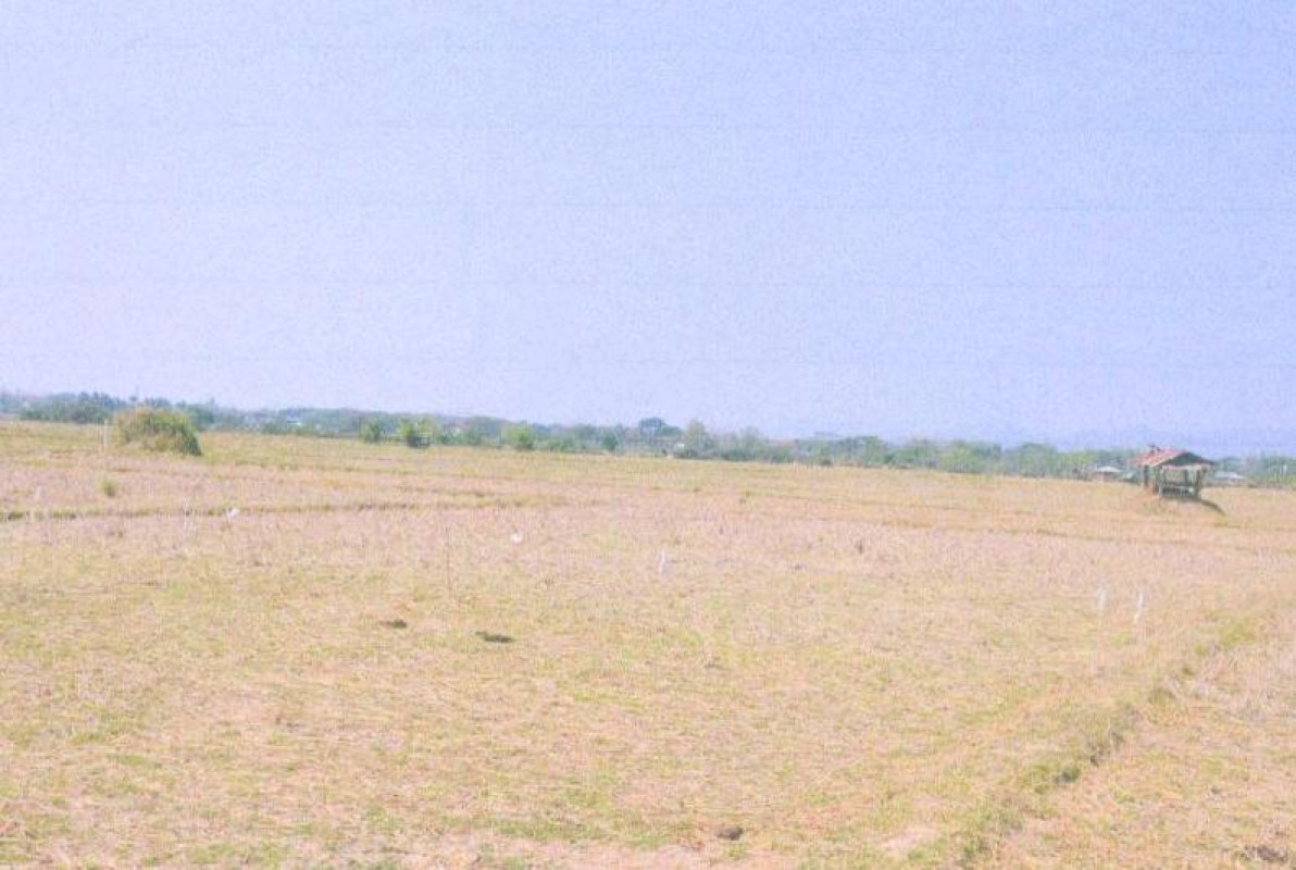 ที่ดินเปล่า แพร่ เมืองแพร่ ทุ่งกวาว 195600