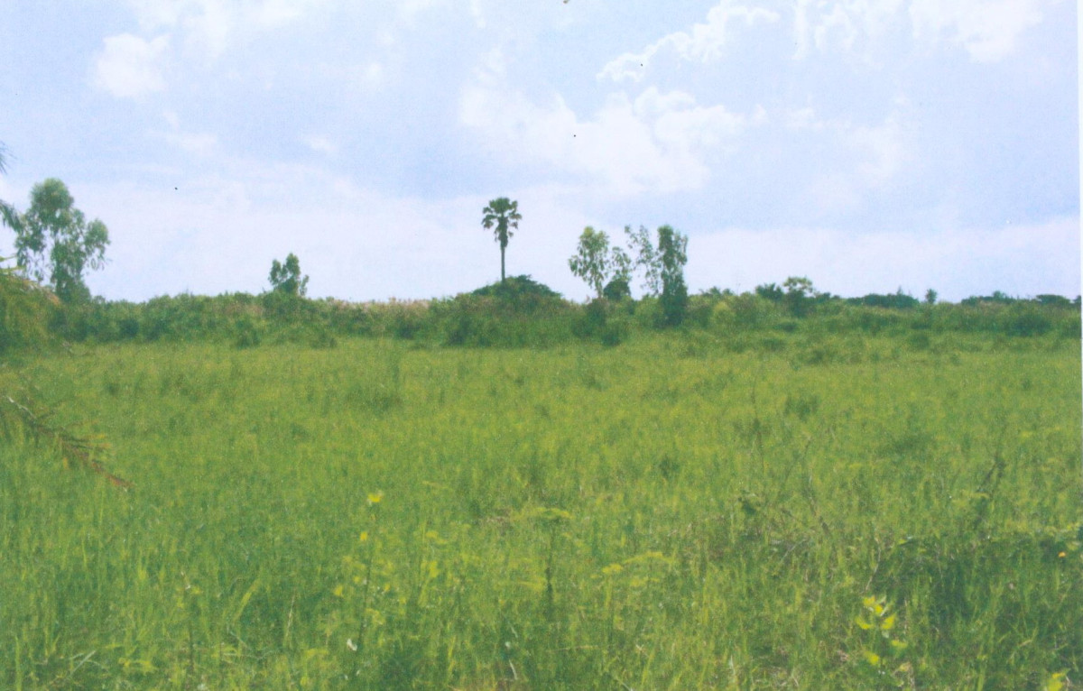 Residential land/lot Prachuap Khiri Khan Mueang Prachuap Khiri Khan Bo Nok 500400