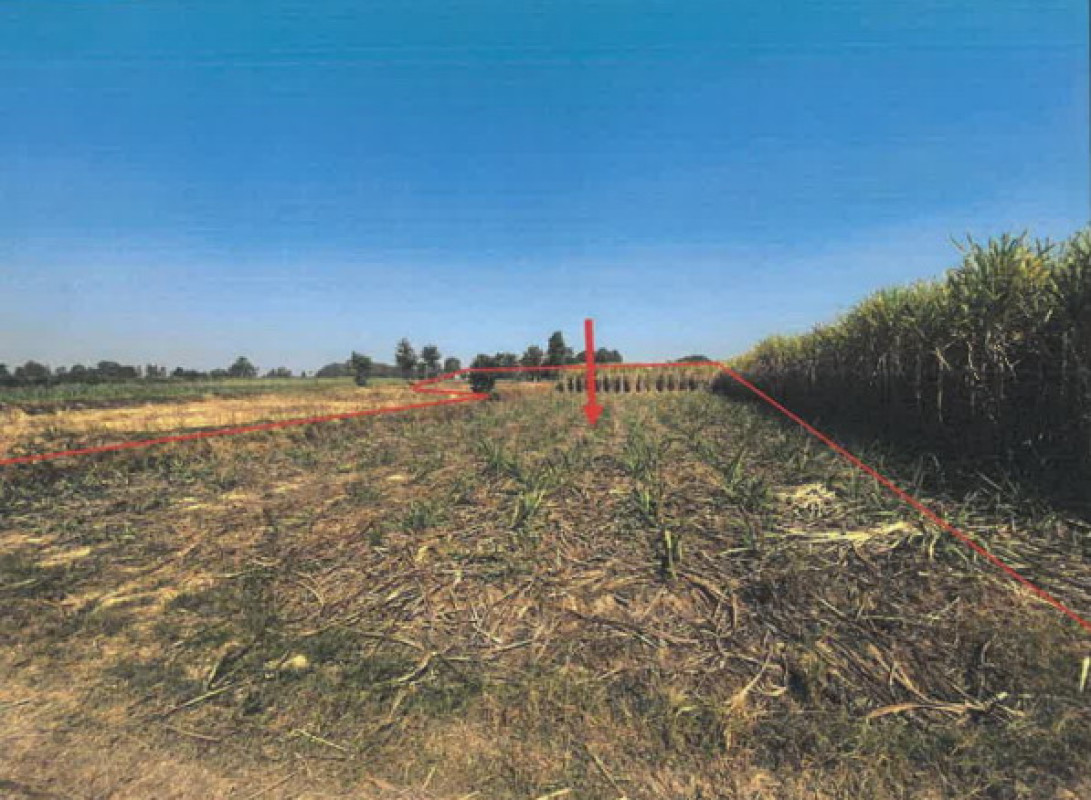 Residential land/lot Maha Sarakham Chuen Chom Chuen Chom 637377