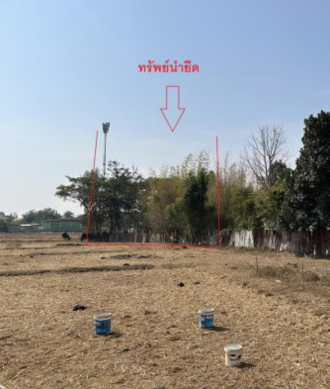 ที่ดินเปล่า หนองคาย เมืองหนองคาย วัดธาตุ 1237480