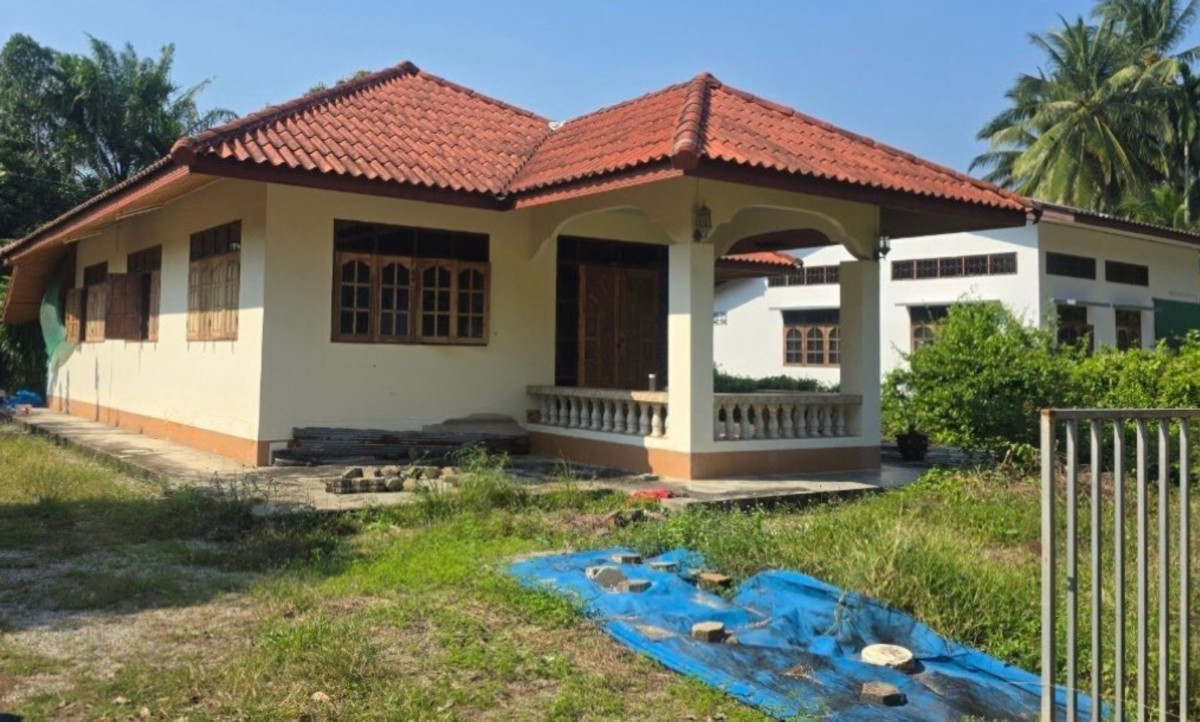 Single house Surat Thani Chaiya Samet 832768