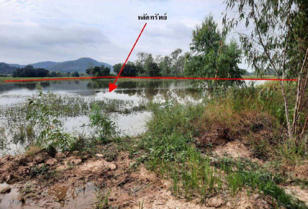 ที่ดินเปล่า สุโขทัย ศรีสำโรง นาขุนไกร 618640