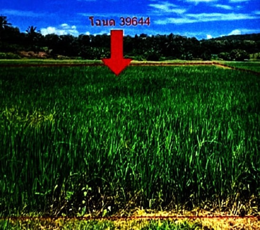 Residential land/lot Sukhothai Sri Satchanalai Mae Sam 36225