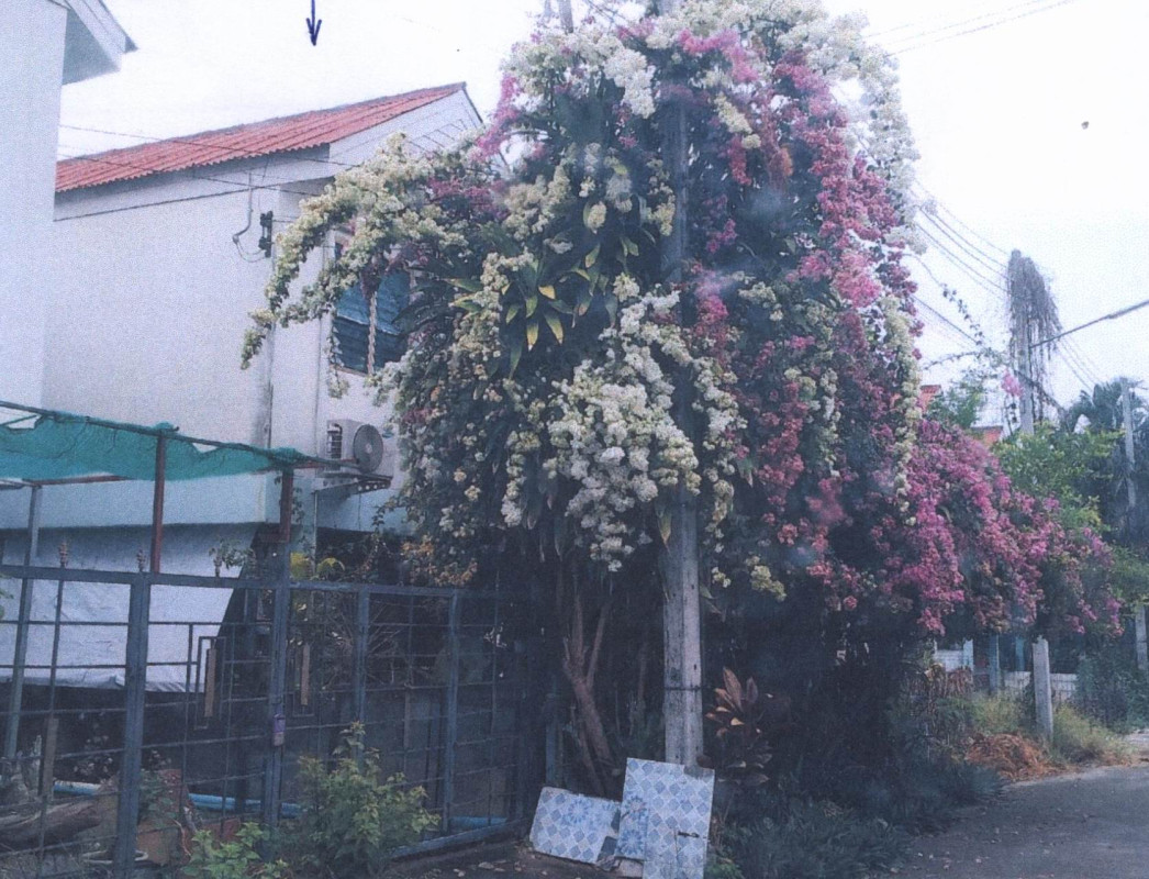 Townhouse Prachuap Khiri Khan Mueang Prachuap Khiri Khan Ko Lak 752450