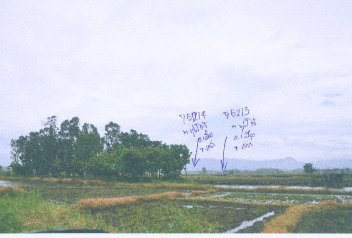ที่ดินเปล่า แพร่ เมืองแพร่ แม่ยม 92750