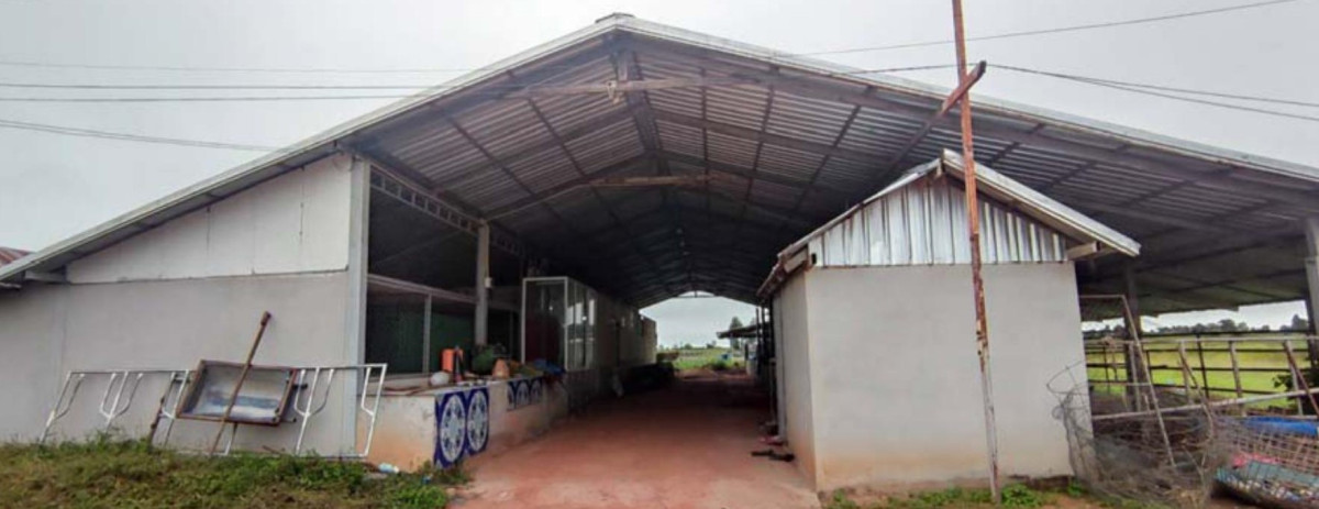 Single house Maha Sarakham Borabue Nong Khu Khat 2839131