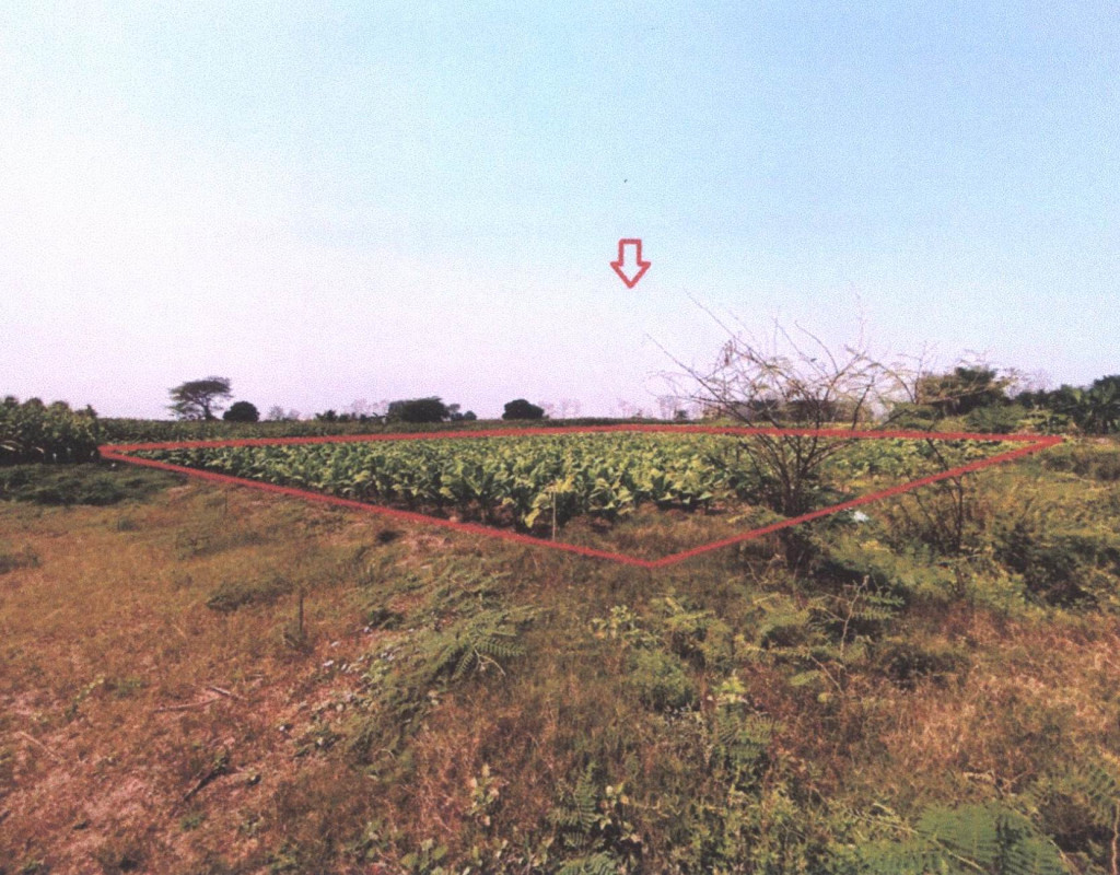 Residential land/lot Phrae Song Daen Chumphon 79950