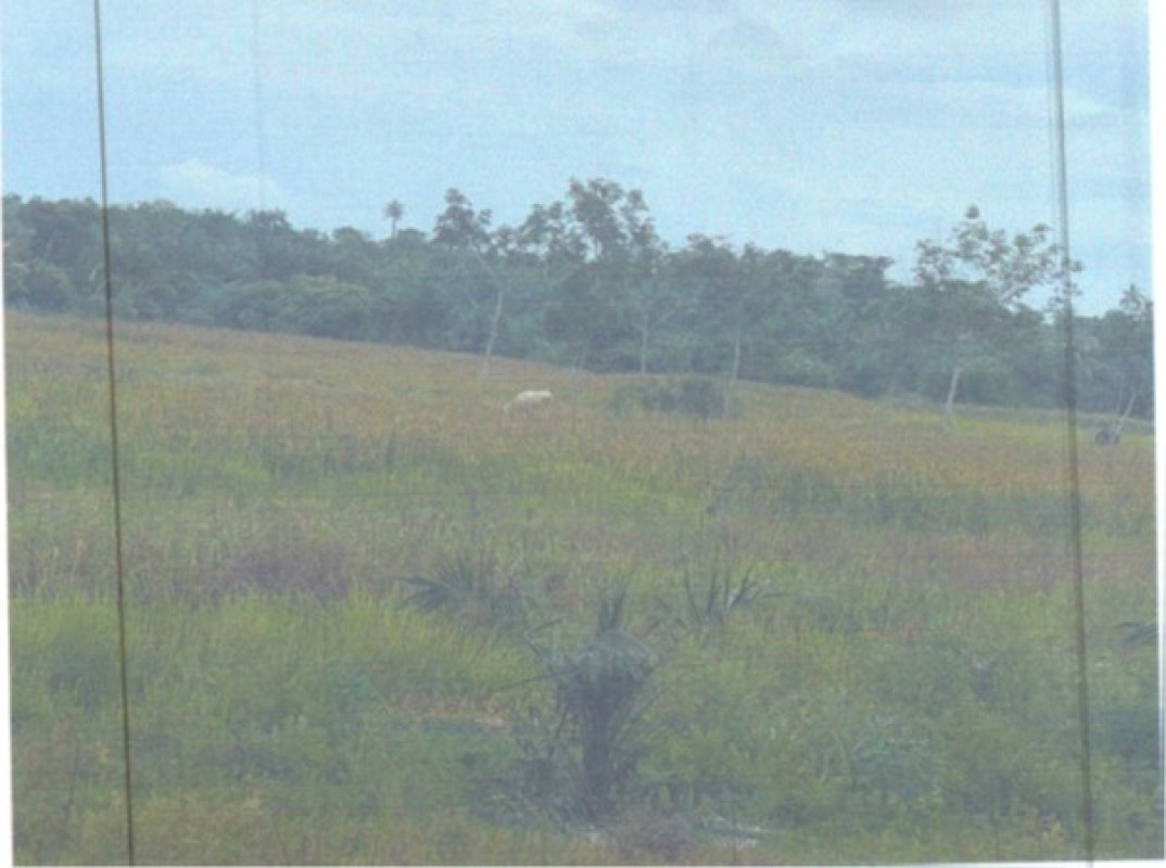 Residential land/lot Satun Tha Phae Tha Phae 26950