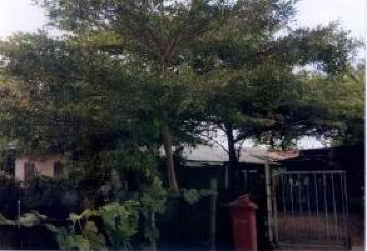 บ้านเดี่ยว ขอนแก่น บ้านไผ่ บ้านลาน 379620