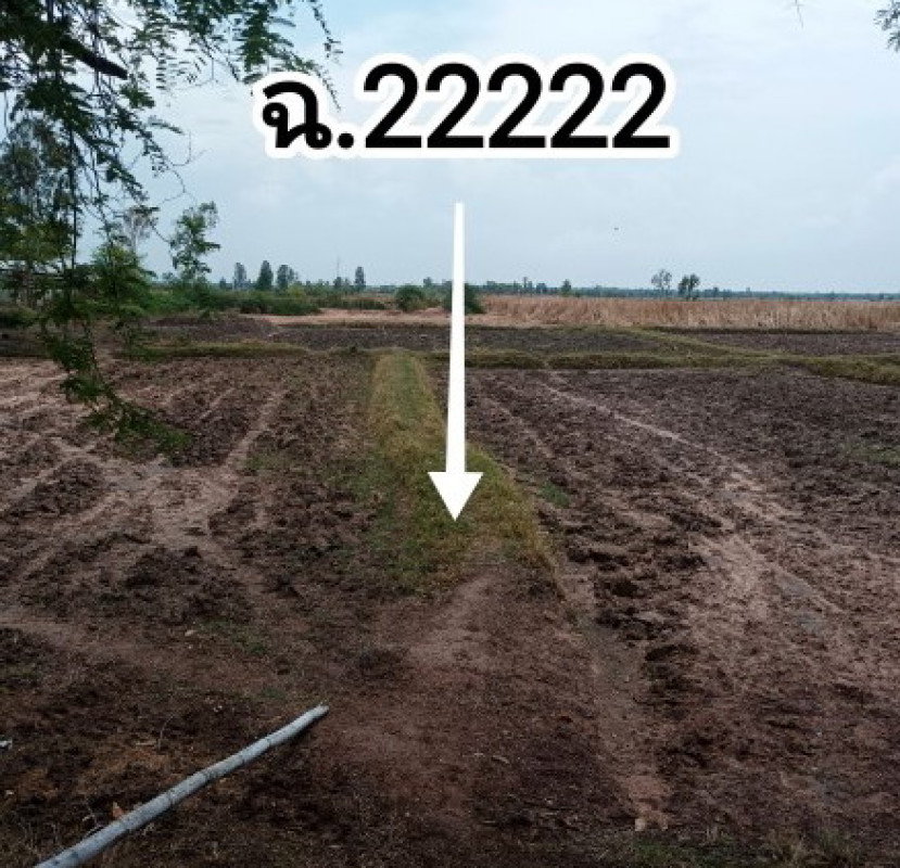 Residential land/lot Khon Kaen Waeng Noi Tha Wat 483160