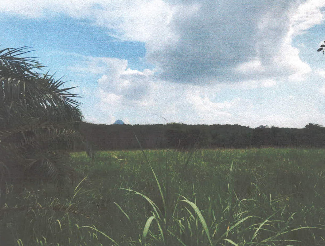 Residential land/lot Surat Thani Khiri Rat Nikhom Kapao 2233800