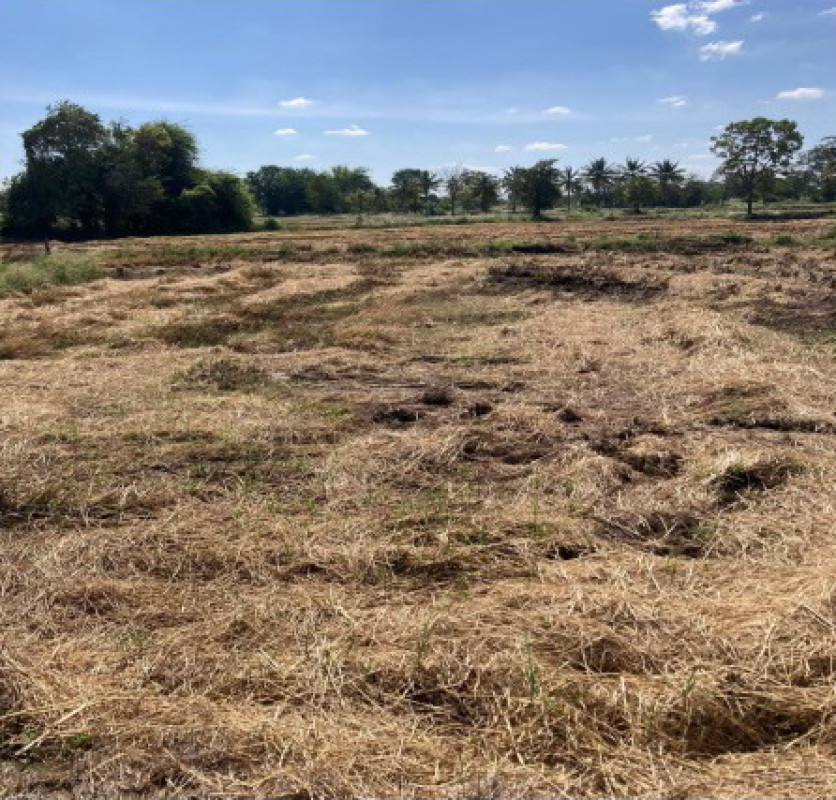 Residential land/lot Nakhon Ratchasima Khong Non Teng 1361100