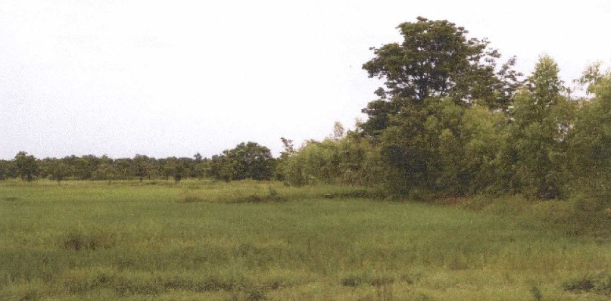 Residential land/lot Sakon Nakhon Sawang Daen Din Sawang Daen Din 66330