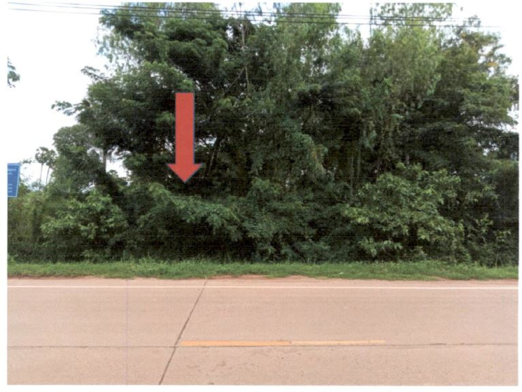 Residential land/lot Udon Thani Mueang Udon Thani Nong Na Kham 257600