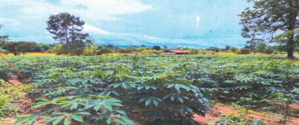 Residential land/lot Ubon Ratchathani Nam Yuen Song 509600