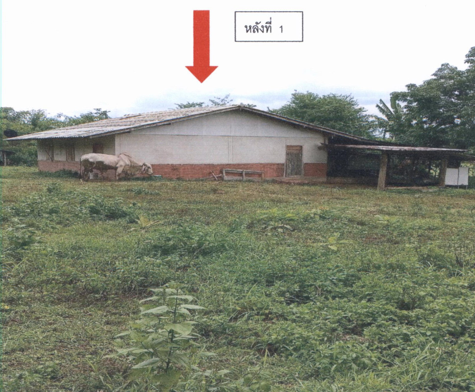 Single house Phrae Long Wiang Ta 630990