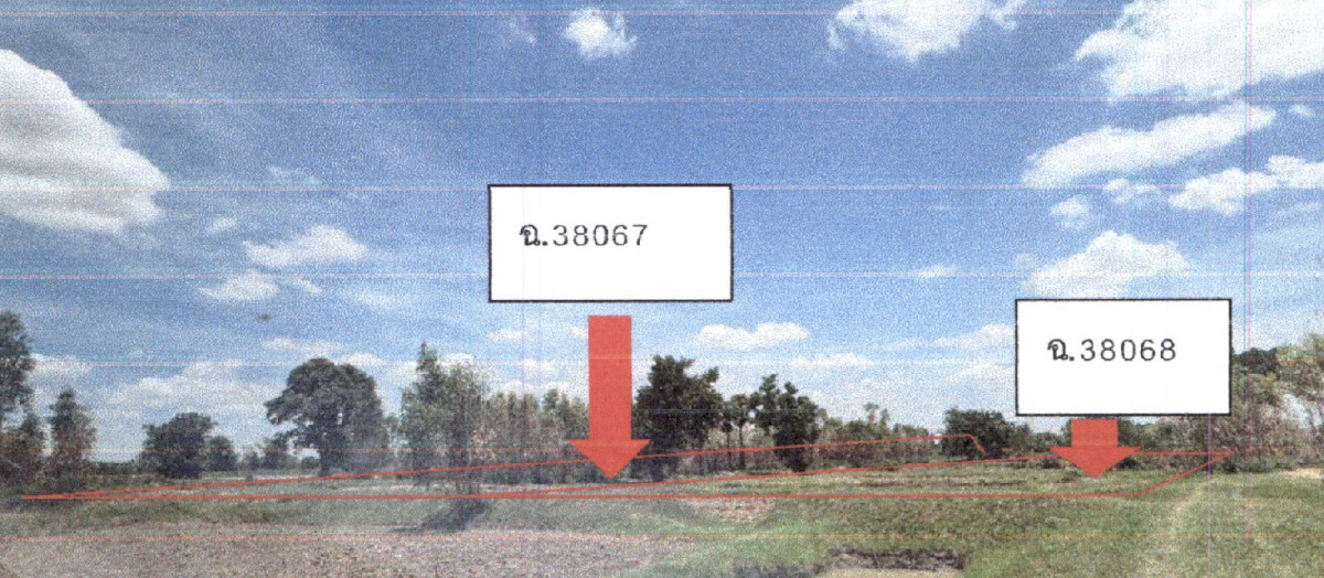 Residential land/lot Nakhon Ratchasima Chum Phuang Tha Lat 115400